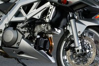 Suzuki SV1000S